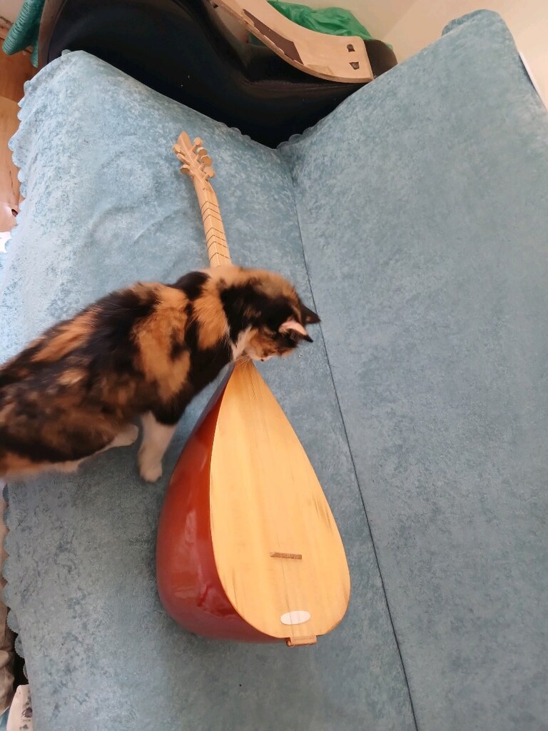 saz bağlama twtemiz çızık yok - 5