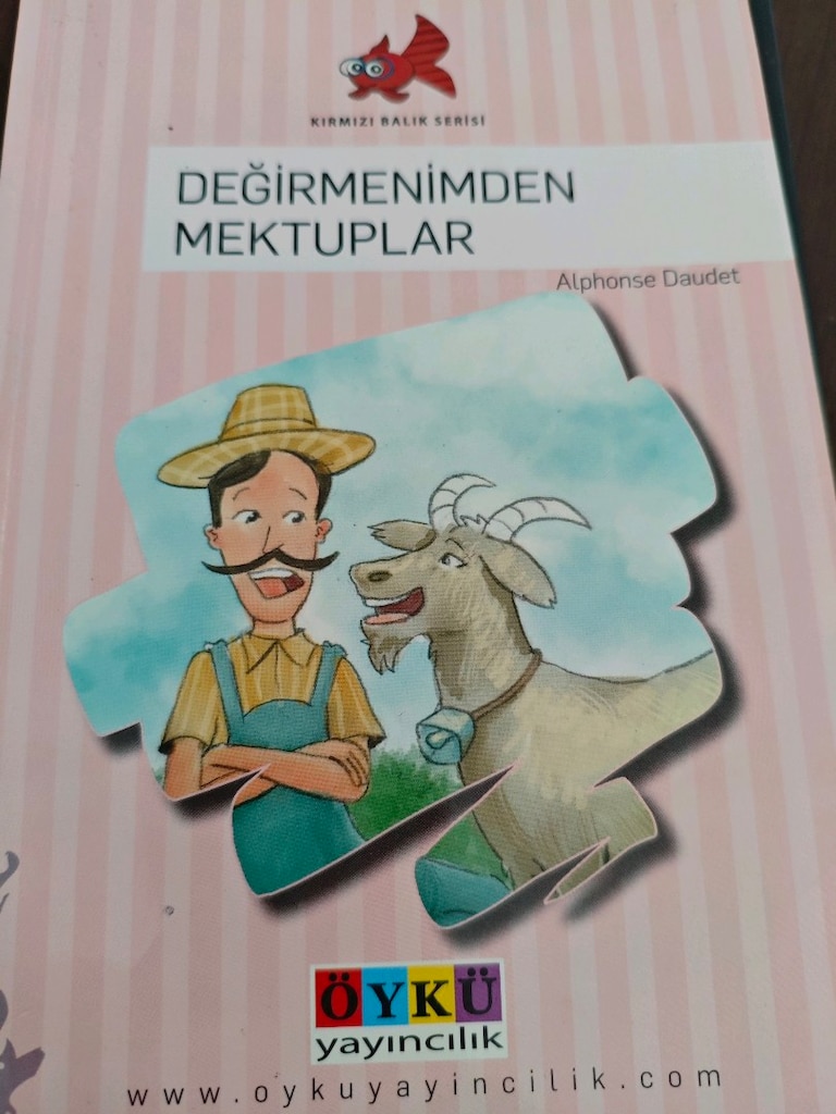 8 yaş ve üzeri hikâye kitabı, bir kitap fiyatıdır - 5