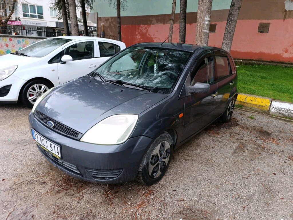 Ford Fiesta 1.4 TDCİ conford - 3