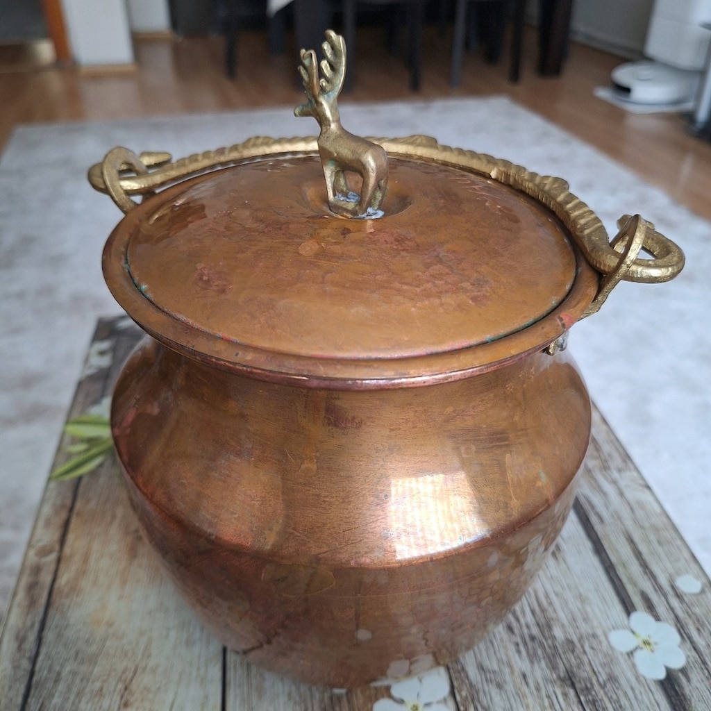 bakır karaca bakraç - 2