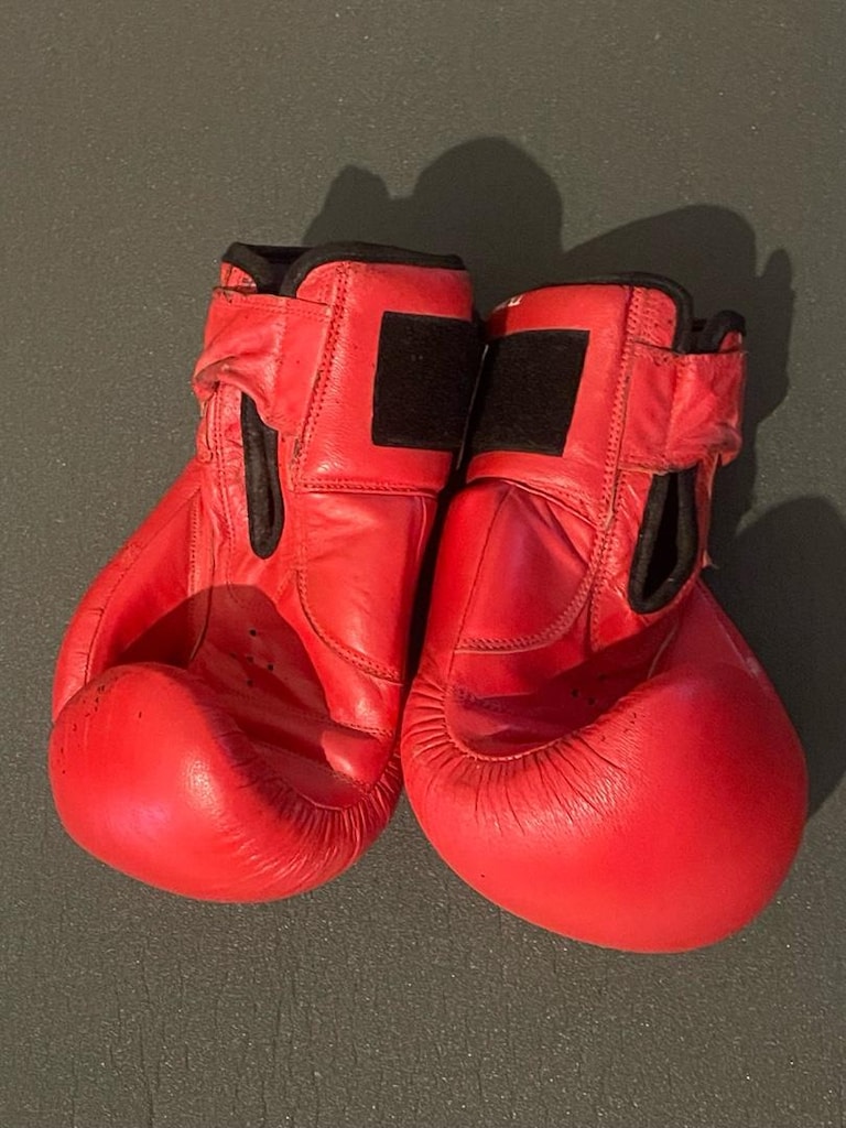 Kırmızı Bulls Boks Eldiveni - 2