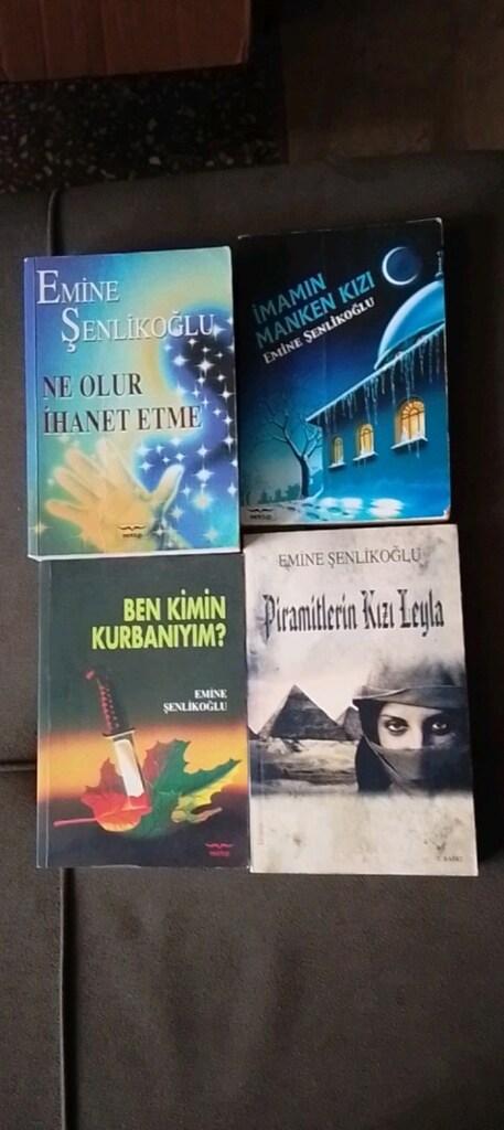 EMİNE ŞENLİKOĞLU KİTAPLARI - 13