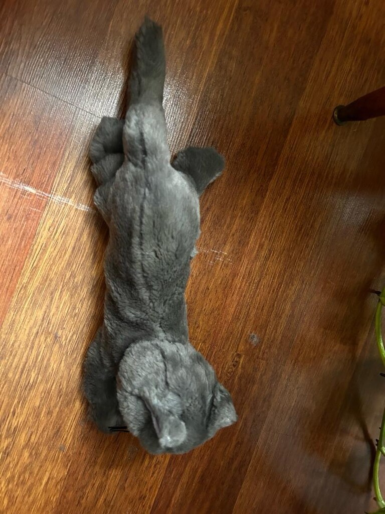 Ikea oyuncak kedi - 8