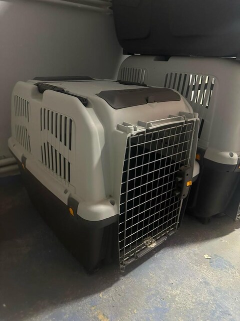 Skudo köpek kafesi orta boy