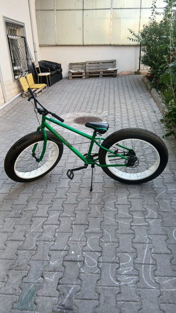Mongoose Beast - 8
