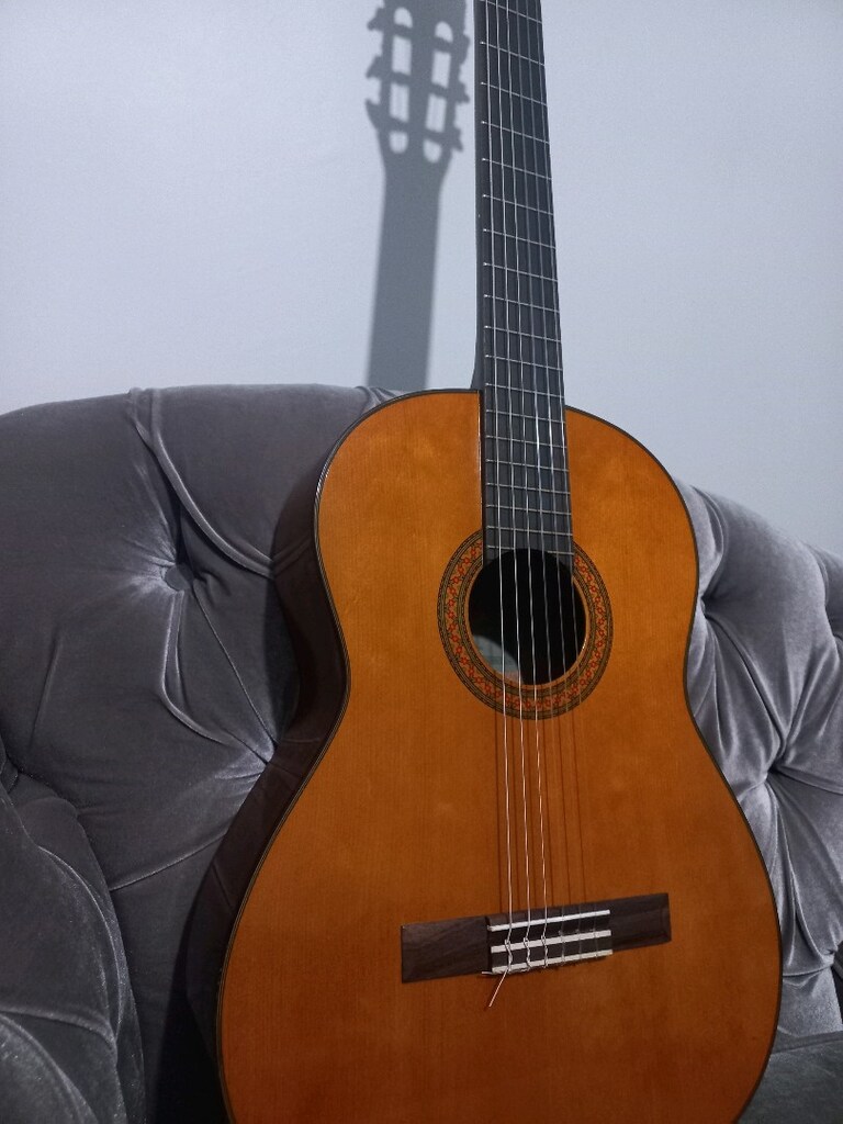 Yamaha Klasik Gitar - 7