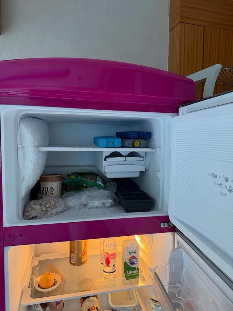 Vestel Retro Pembe 325 LT Buzdolabı - Çok Temiz - Kusursuz Çalışıyor - 6
