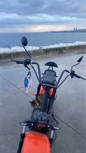 elektirikli motor