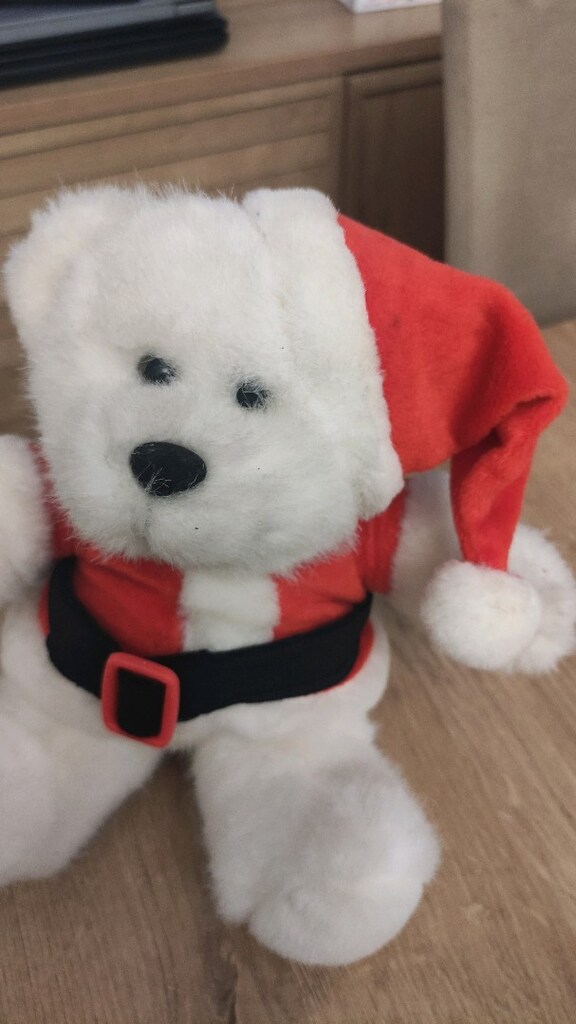 peluş ayicik - 3