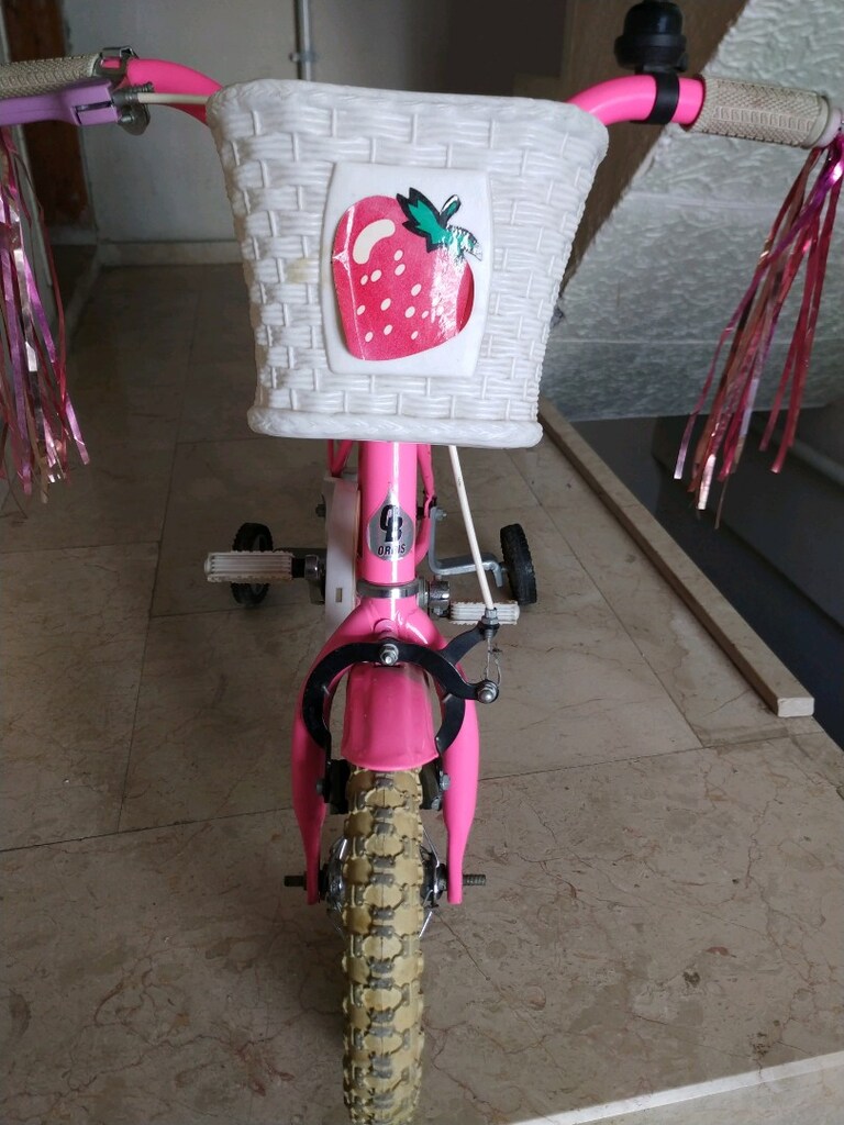 12 jant kız bisikleti - 4