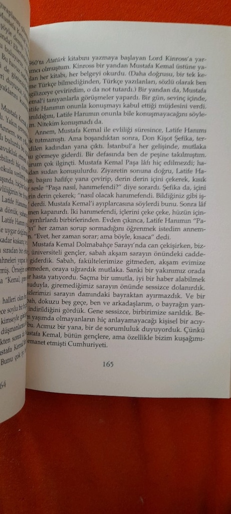 BİR DİNAZORUN ANILARI, MİNA URGAN - 4