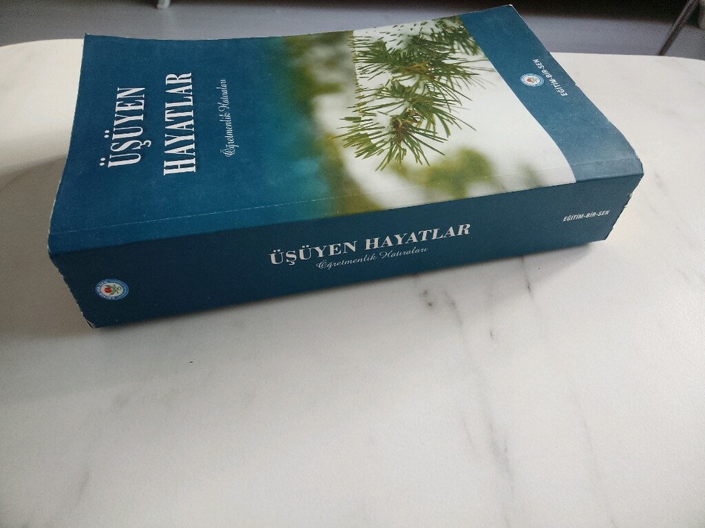 ÜŞÜYEN HAYATLAR...704 sayfa - 3
