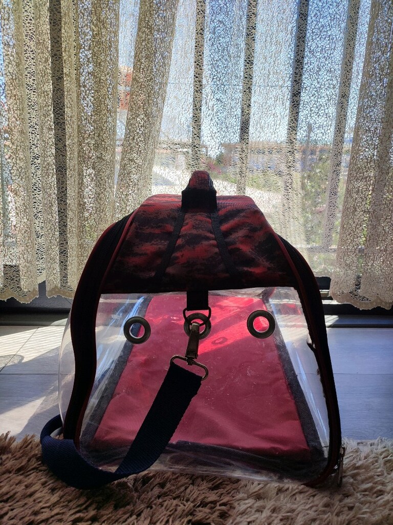 Kedi Çantası - 2