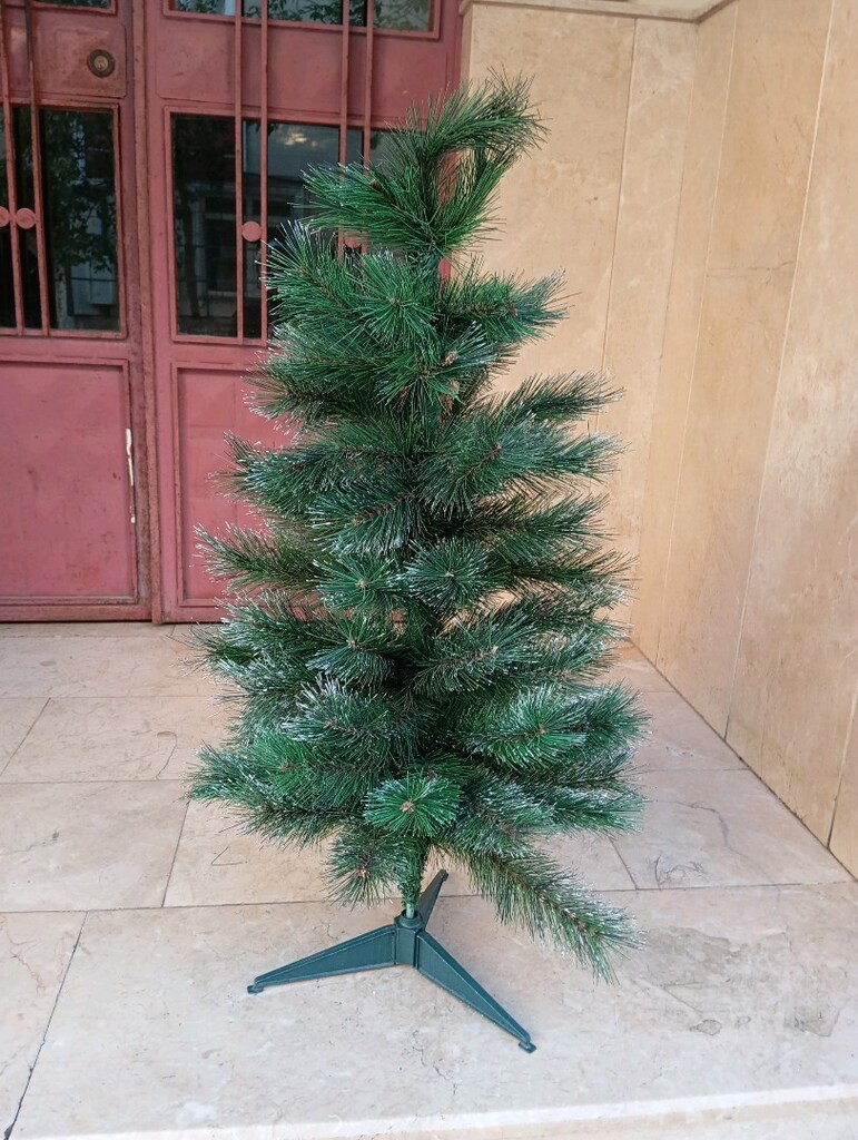 yılbaşı ağacı çam - 2