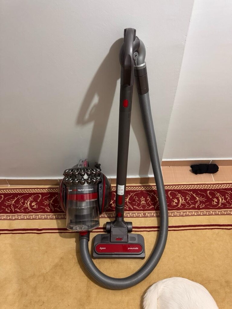 Dyson Cinetic Big Ball Absolute 2 - 5