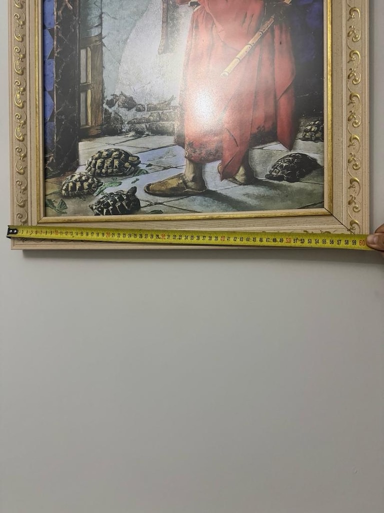 Çerçeveli Kaplumbağa Terbiyecisi Tablo (80*60cm) TAKAS OLUR - 6