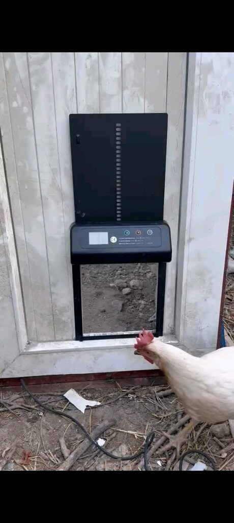 Otomatik Kümes Kapısı - 13