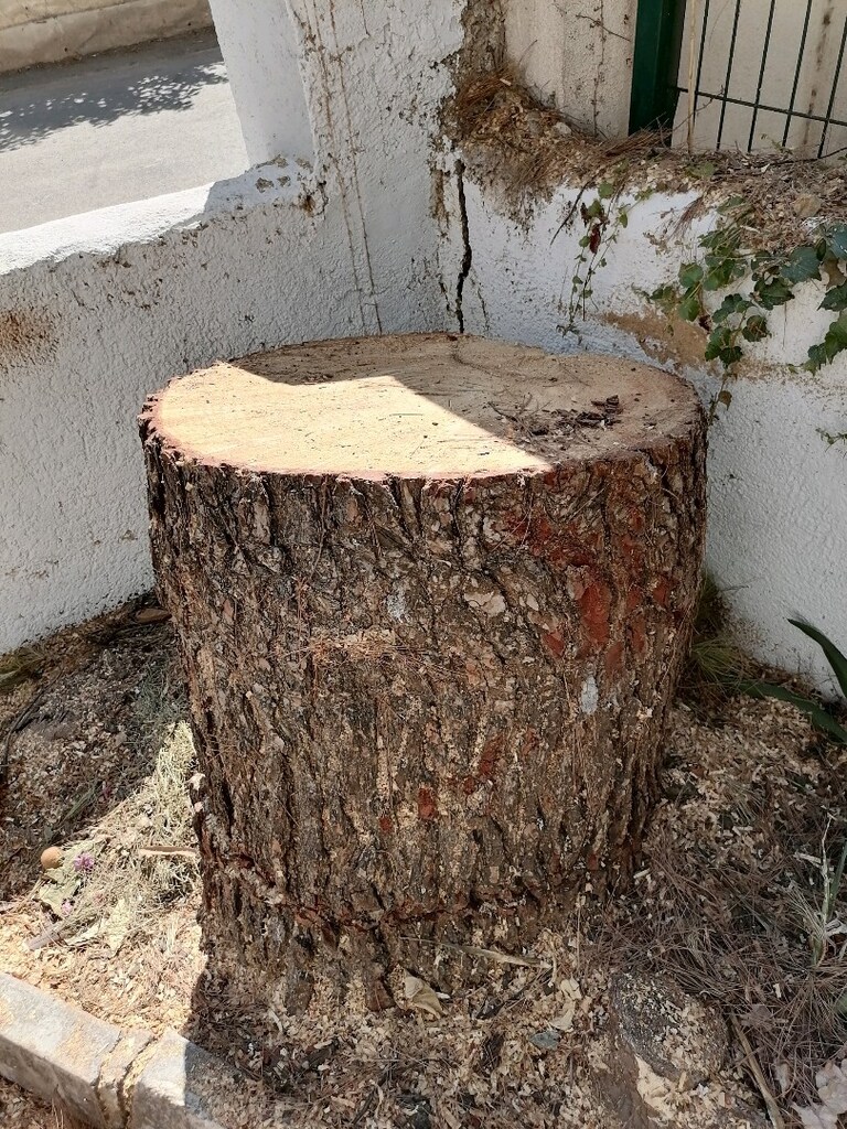 Odun - 7