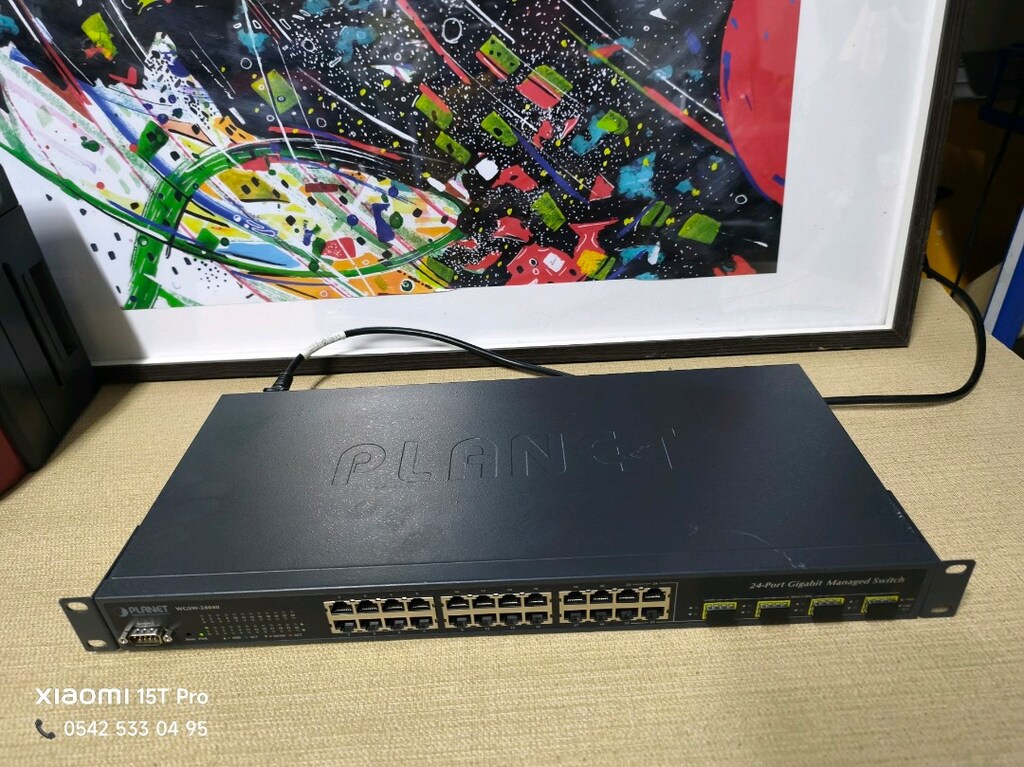 PLANET WGSW-24040 Switch - 5
