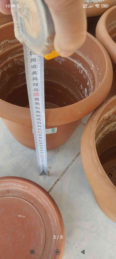 büyük boy saksı - 4