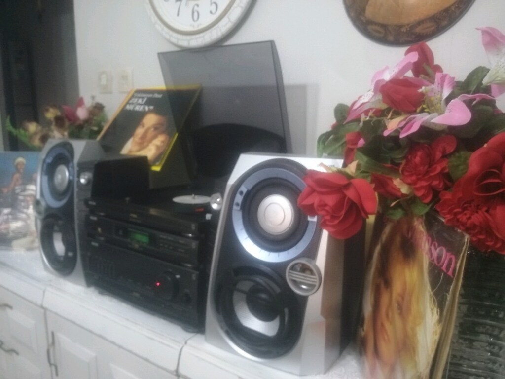 PLAKCALAR STEREO COK TEMIZ FMLI AUXLU EKOLAYZER LI FAAL PAZARLIKSIZ - 3