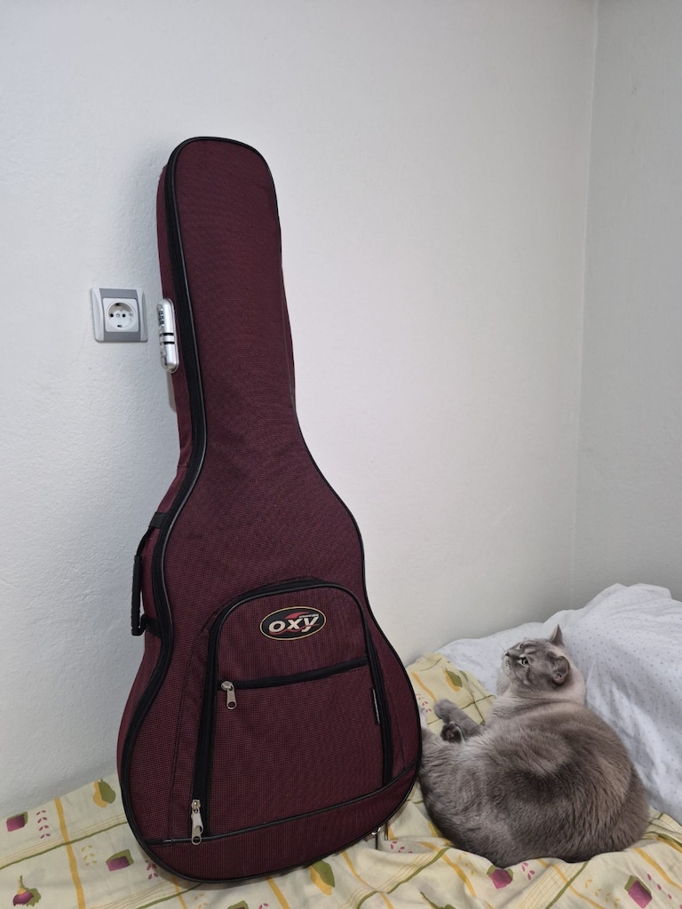 Tenson GA-10CE Elektro Akustik Gitar + Oxy Dolgulu Kılıf - 6