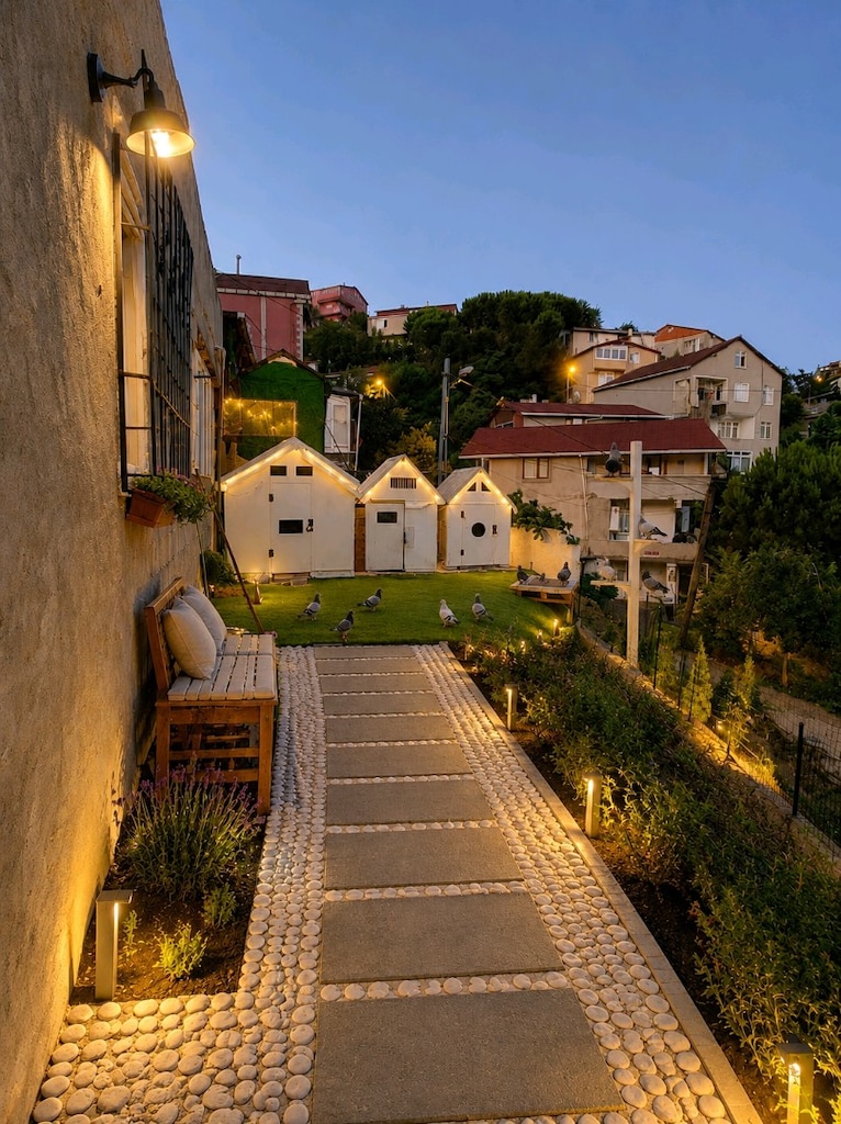 güvercin kümesi (detay açıklamada) - 2