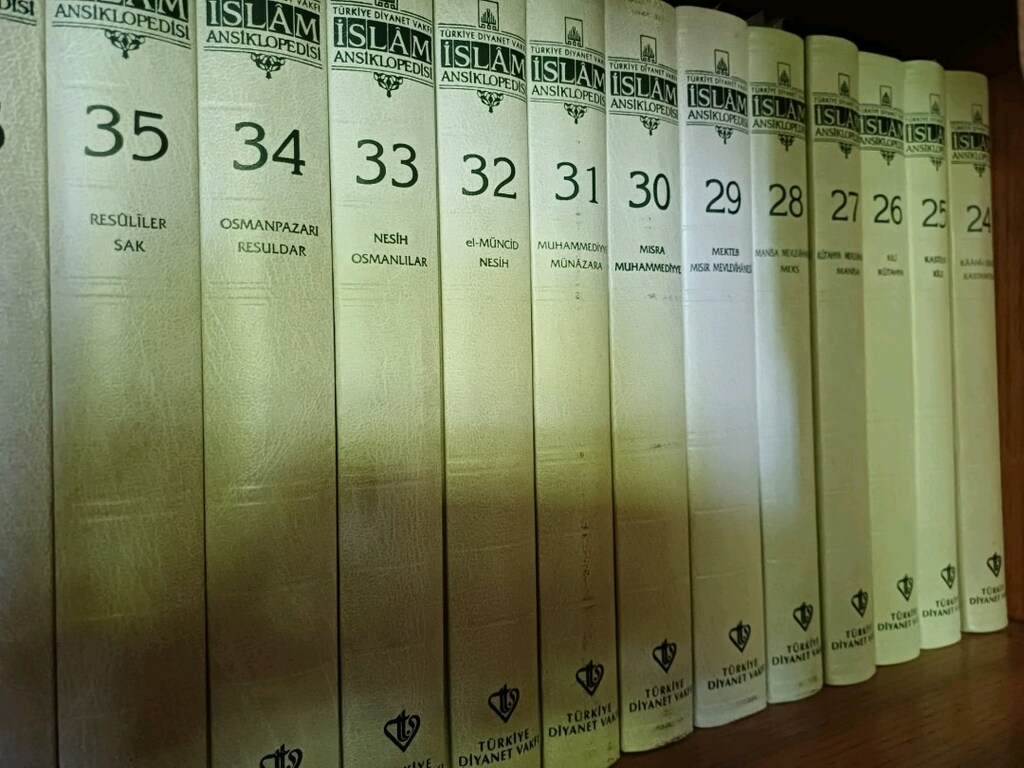 TDV İslam Ansiklopedisi İlk baskı 44 Cilt (Hediyeli) - 14