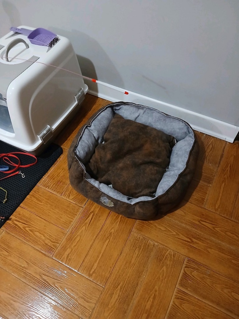 Kedi malzemeleri - 4