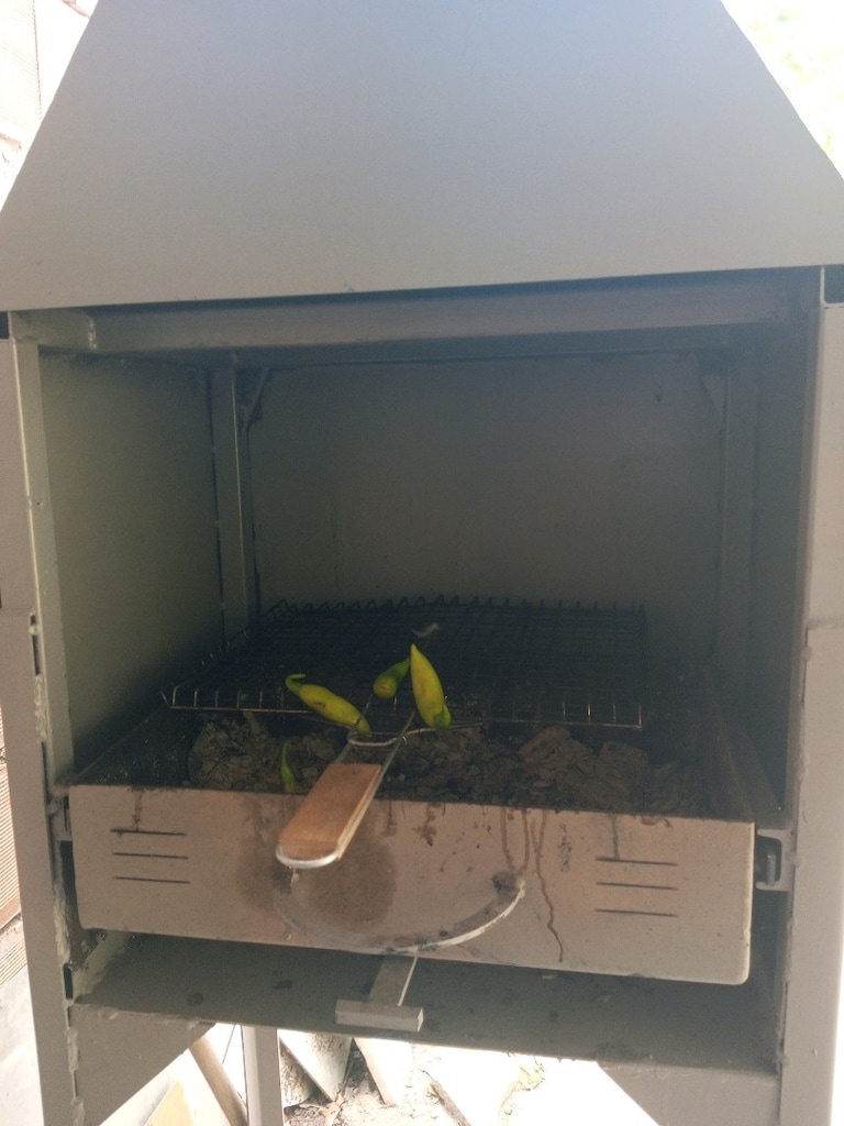 Mangal - 2