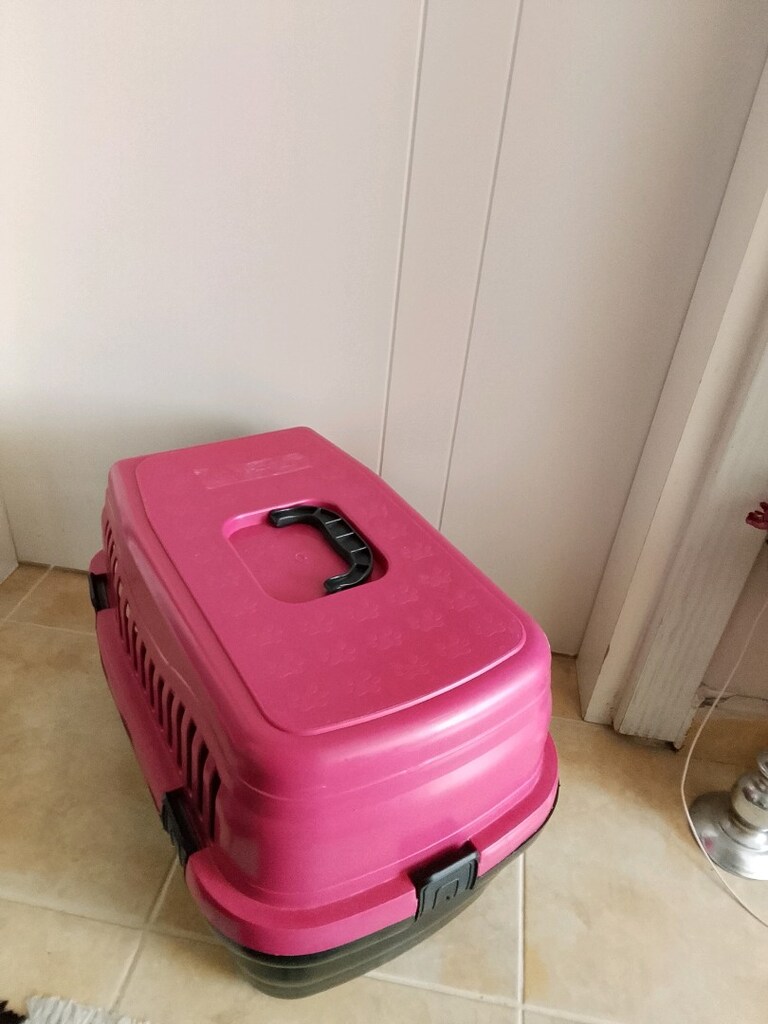 kedi taşıma kafesi ve tırmalama ağacı - 5