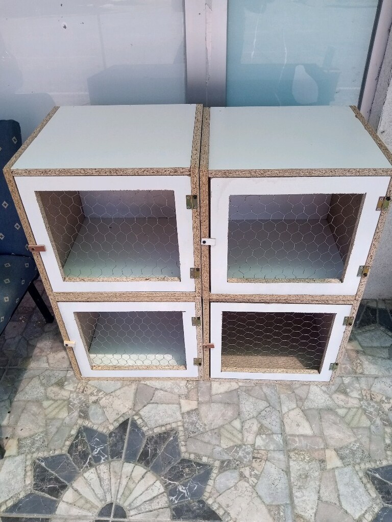 es hane salma kafes - 5