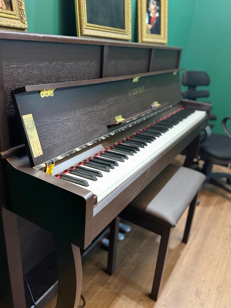 piyano ludorf premium vision - 2