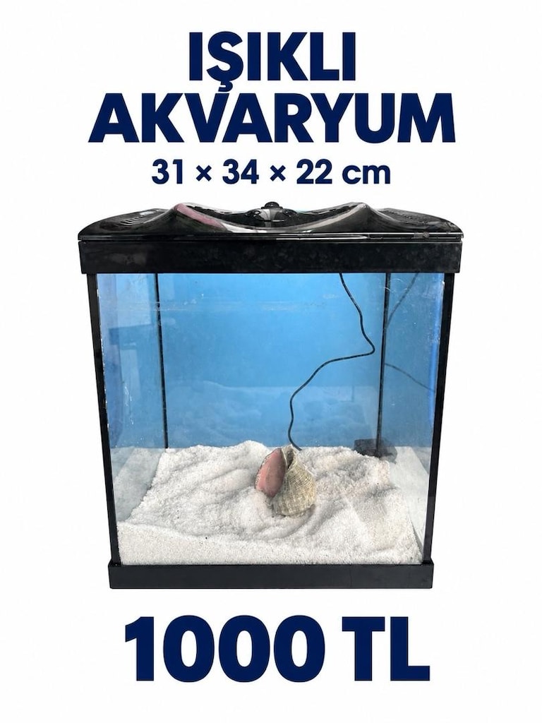 Akvaryumlar - 3