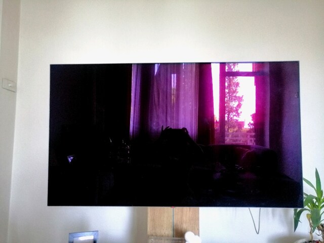 LG 55eg9a7v Oled Tv
