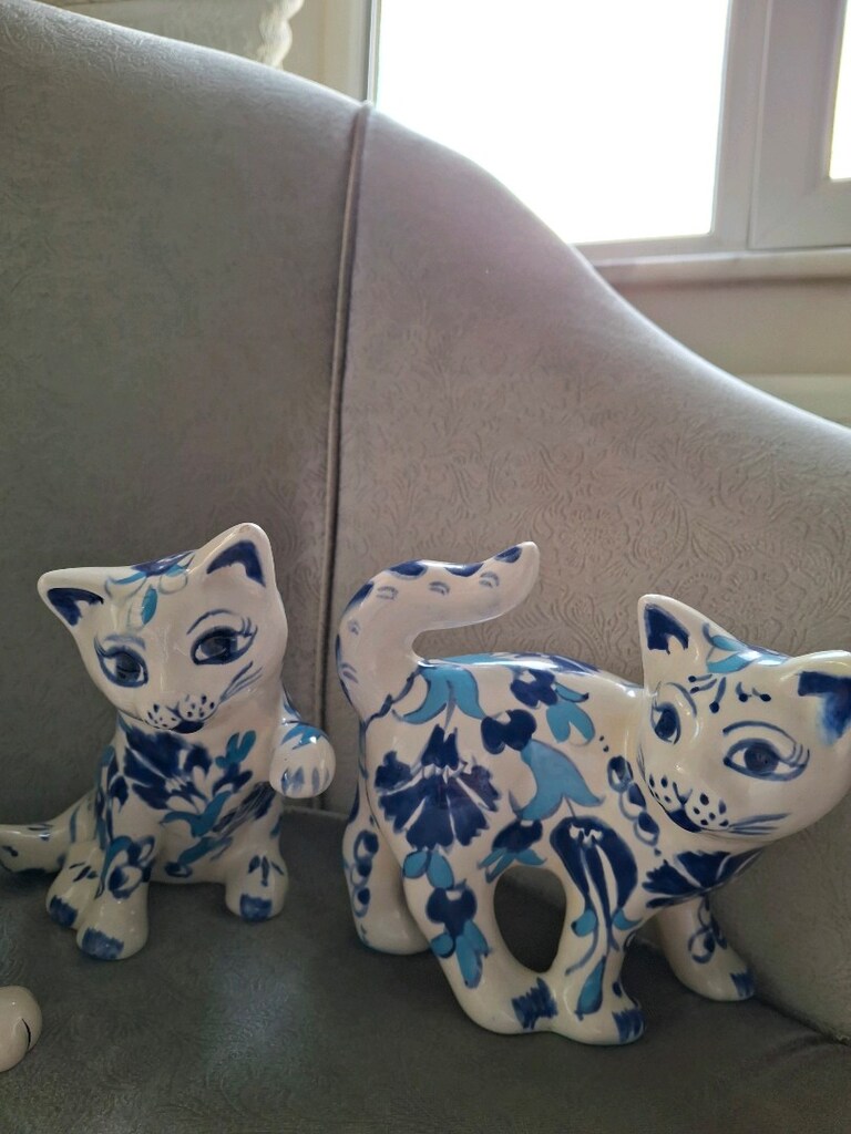 Toplam 6 Parça Çiziksiz tertemiz dekor Kedi ve Deve bibloları İçerenkö - 2