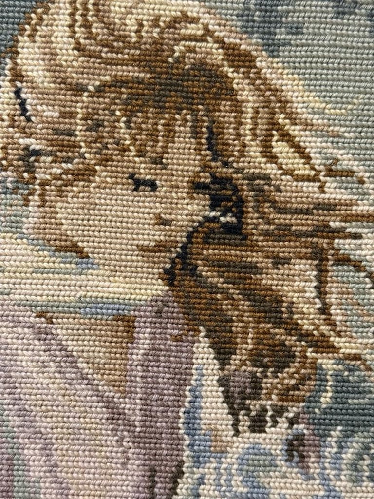 Retro Ahşap Çerçeveli Atlı Kadın Goblen Tablo (58x70) - 2