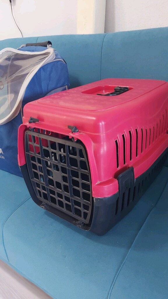 la Vista kedi ve köpek sırt taşıma çantası ve normal taşıma canta - 3