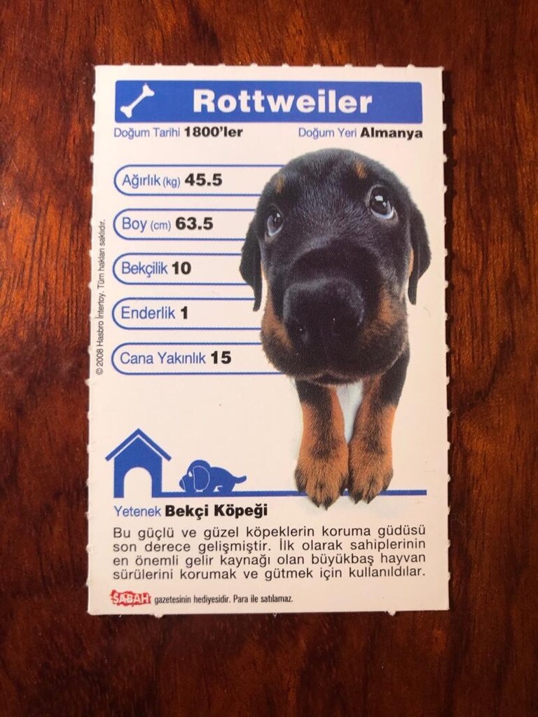 Top Trumps Hasbro Köpekler Kartları - 7