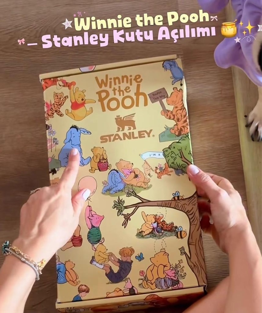 WİNNİE THE POOH STANLEY TERMOS - 4