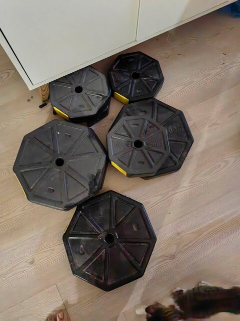 Bedava fiyatına dumbell sehpa plakalar