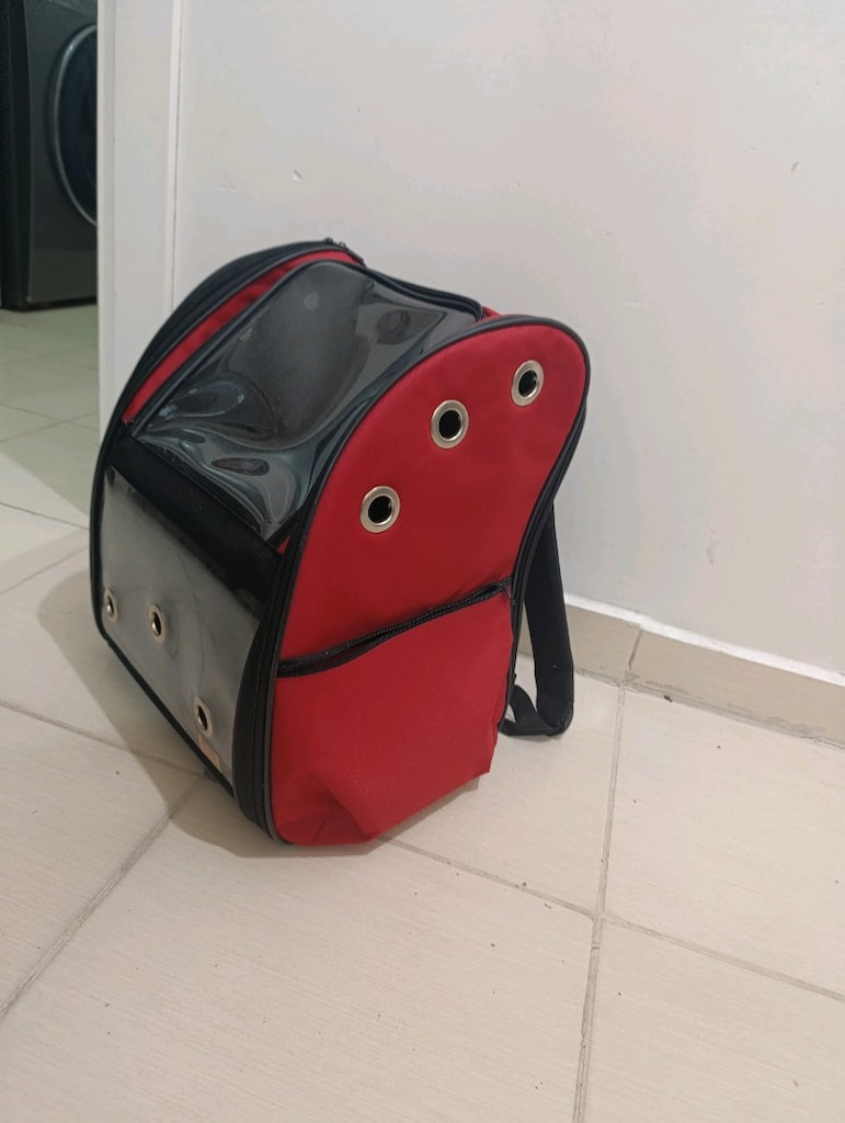 kedi taşıma çantası - 4