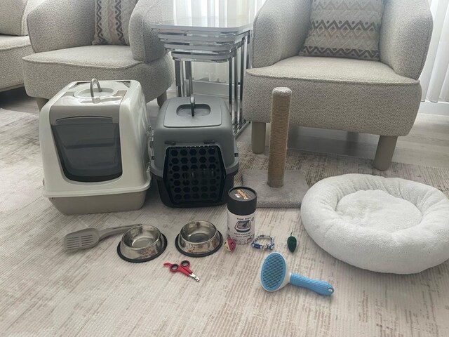 kedi taşıma kabı kedi tuvaleti kedi bakım seti