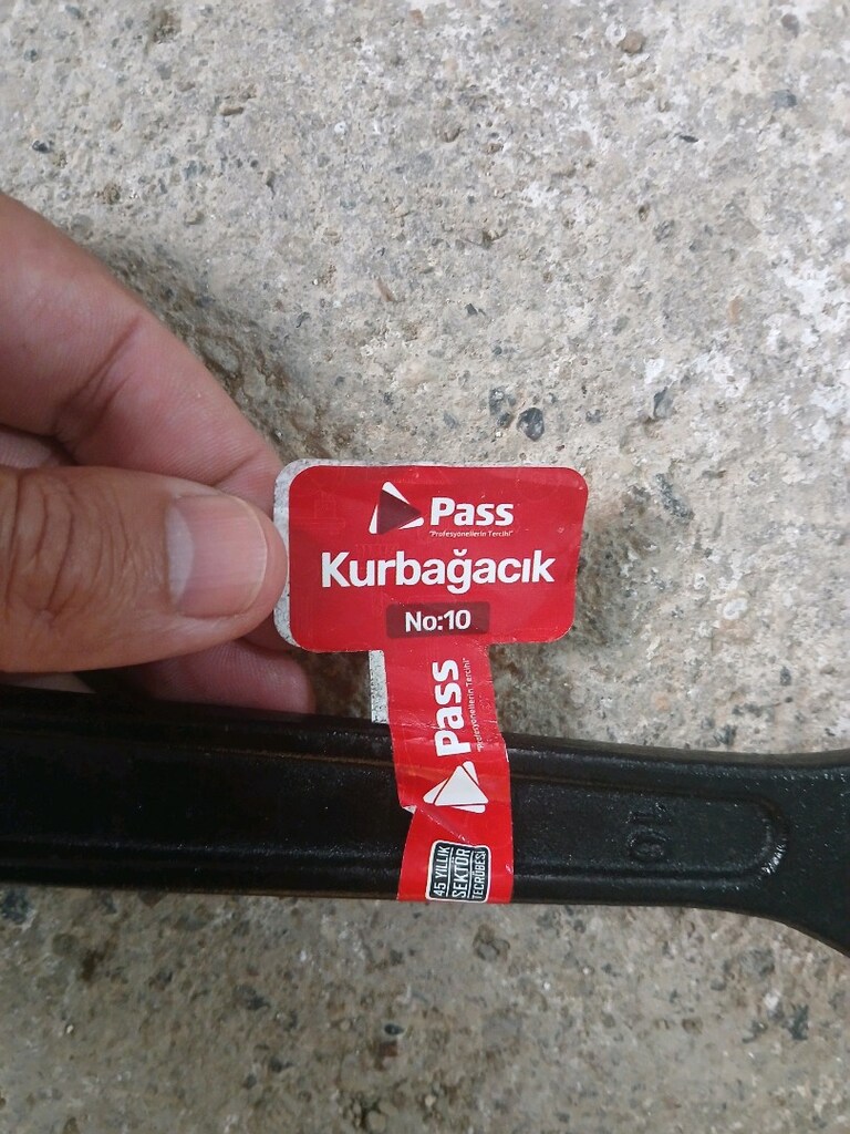 kurbağacık - 3