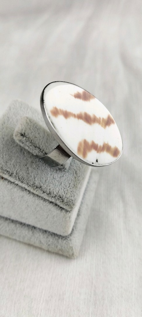 Orjinal Nautilus Deniz Kabuğu Oval Metal Kadın Yüzük 4,8 Gr - 2