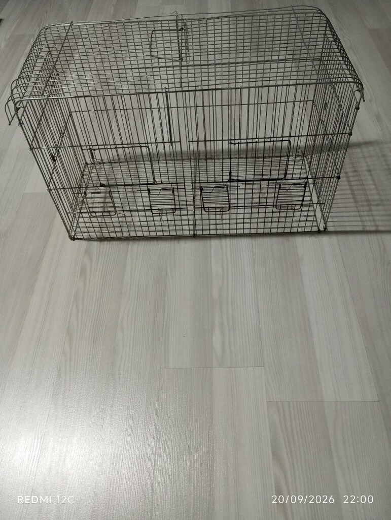PAPAĞAN VE MUHABBET KUŞLARI İÇİN - 3