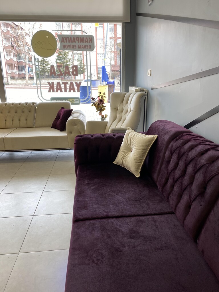 Premium Salon Koltuk Takımı oturma grubu - 9