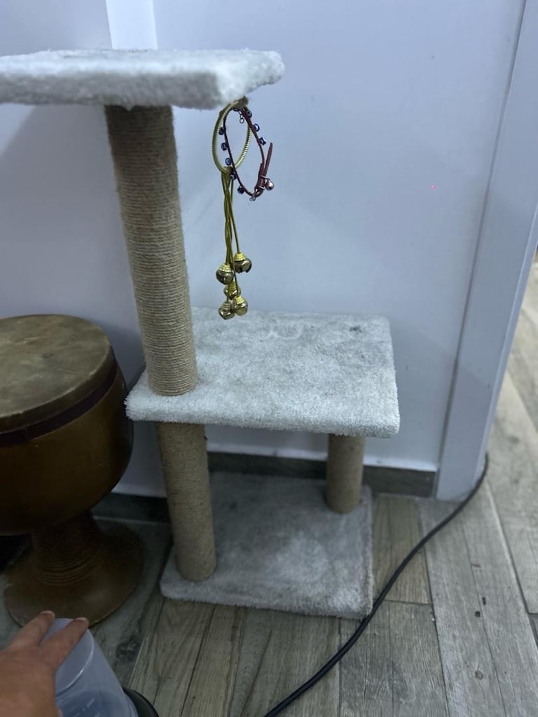 kedi çantası ve ürünleri - 6
