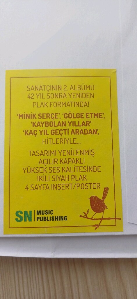 Sezen Aksu Plak - 6