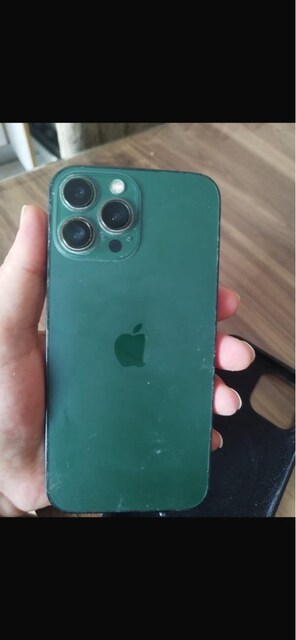 13 Pro max